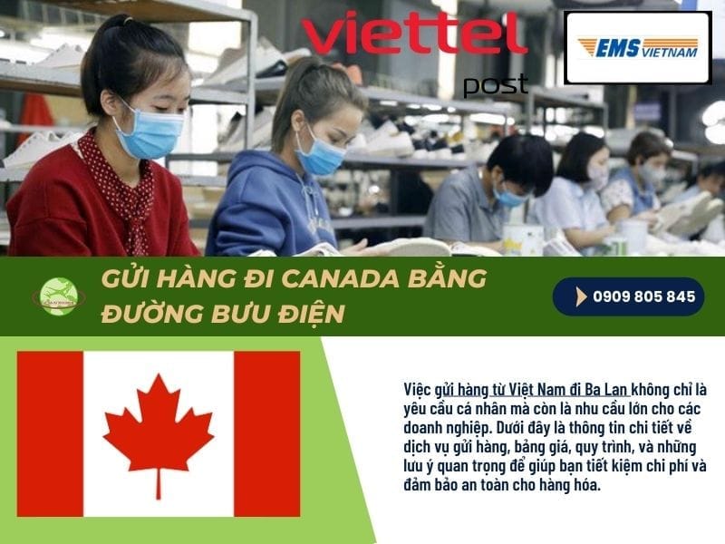 gui hang di canada bang buu dien an taon