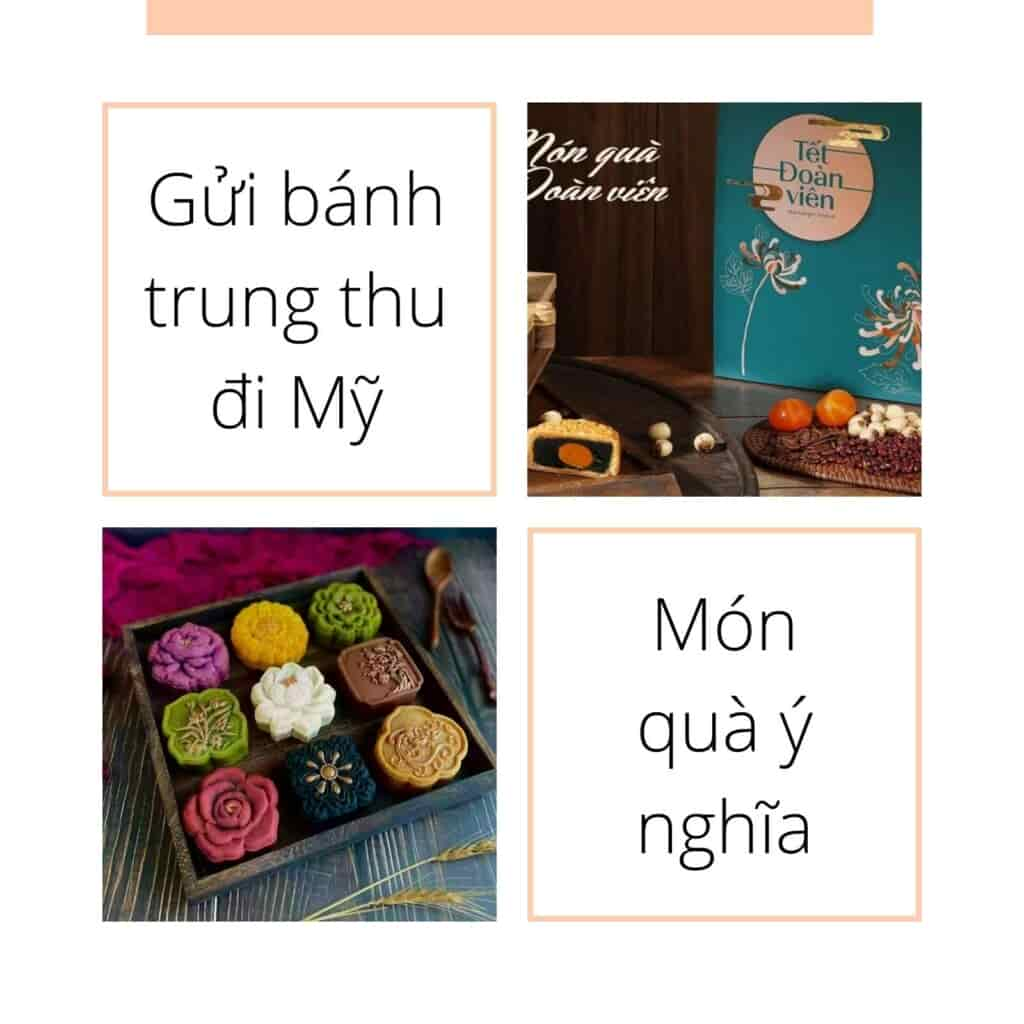 gửi bánh trung thu đi Mỹ nhanh, giá rẻ