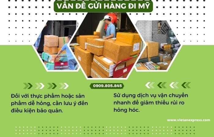 VAN DE GUI HANG DI MY 11