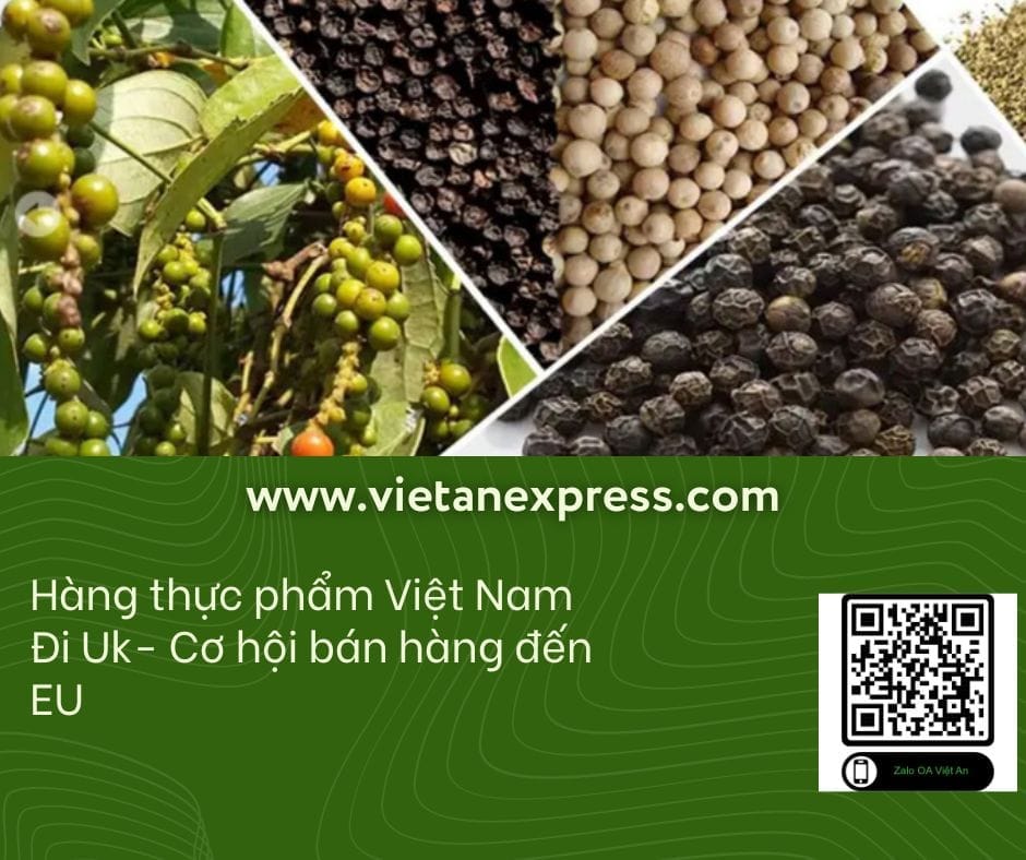 Hàng hóa sản xuất tại Việt Nam – Mang Câu Chuyện Văn Hóa Vươn Tầm Quốc Tế Thực Phẩm Việt Nam – Hương Vị Đậm Đà Chinh Phục Thị Trường Quốc Tế đến UK và EU